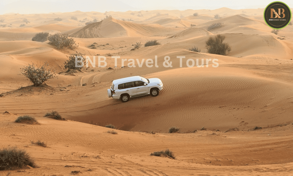 Al Awir Desert Location Dubai – Map, Distance & How to Reach